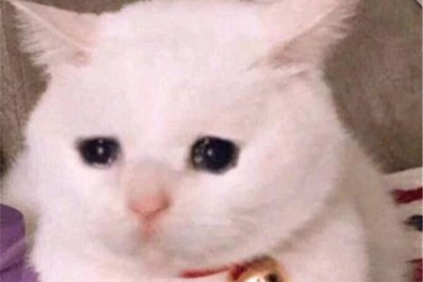 哭有什么用