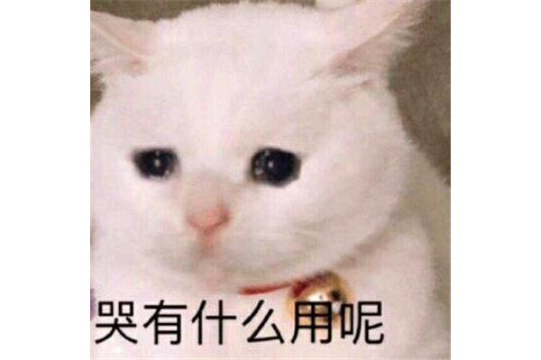 哭有什么用