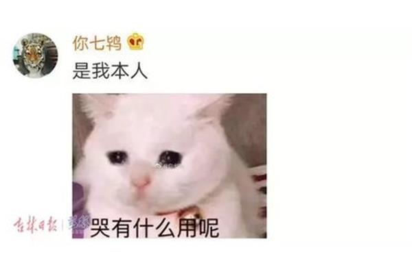 哭有什么用