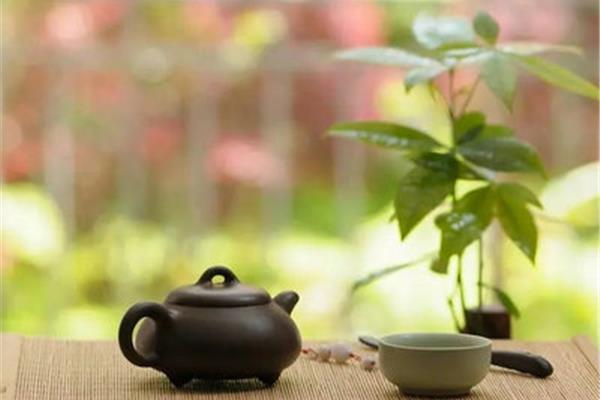 喝茶的句子