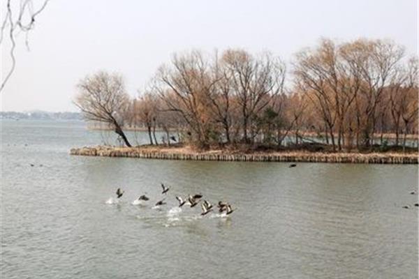泰州溱湖湿地公园