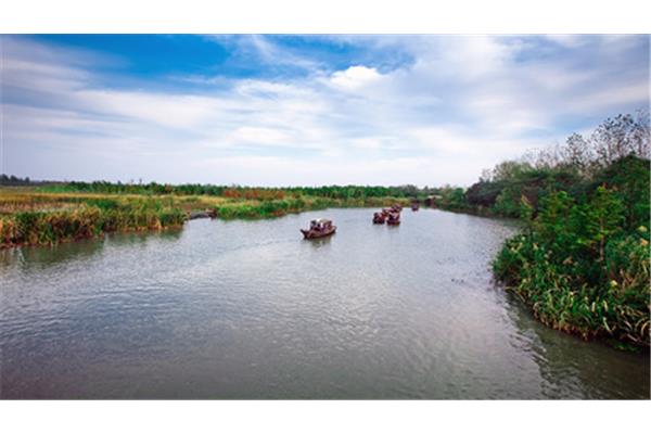 泰州溱湖湿地公园