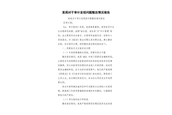 问题整改报告