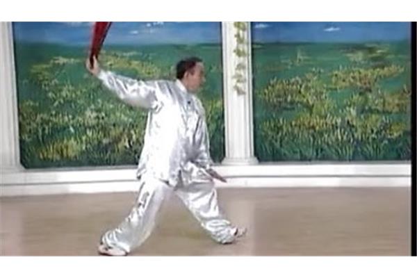 中国功夫太极扇
