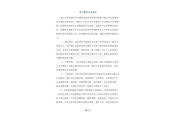 问题整改报告
