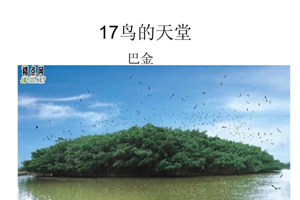 小鸟的天堂