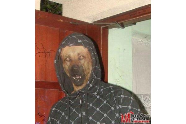 魁梧的意思