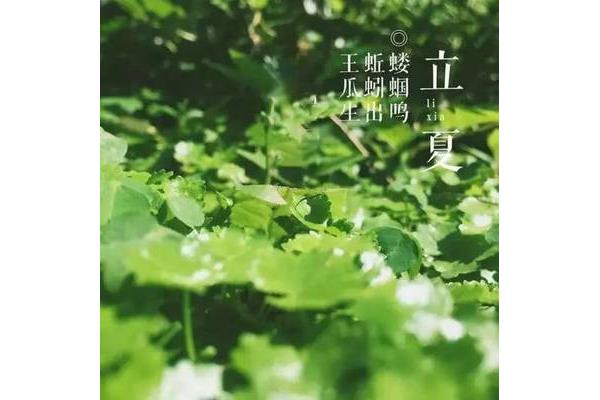 莫负好时光