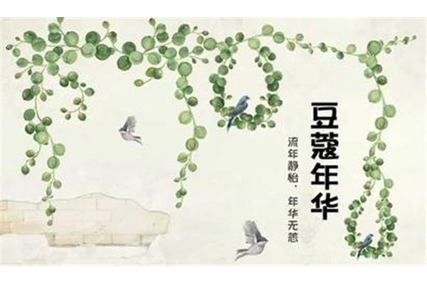 形容青春的成语