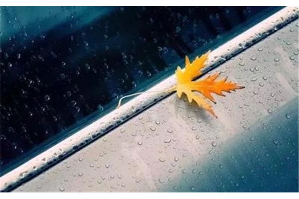 彻悟的意思