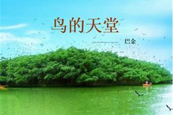 小鸟的天堂