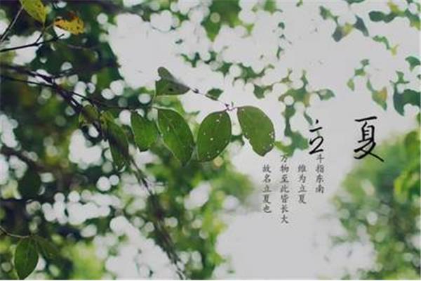 莫负好时光