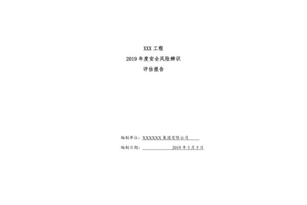 风险评估报告