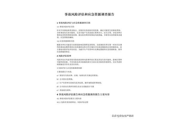 风险评估报告