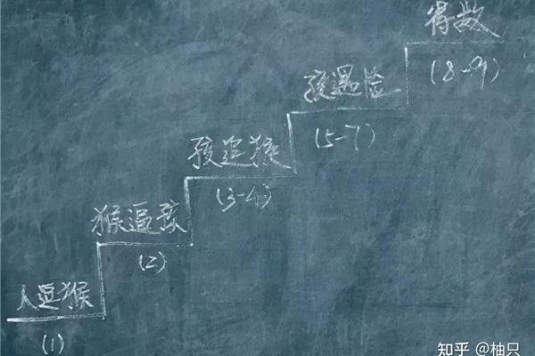 板书设计怎么写