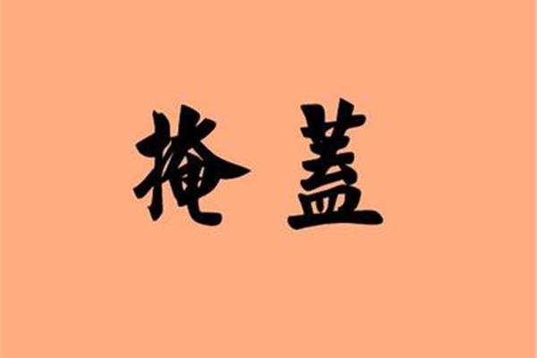掩盖的近义词