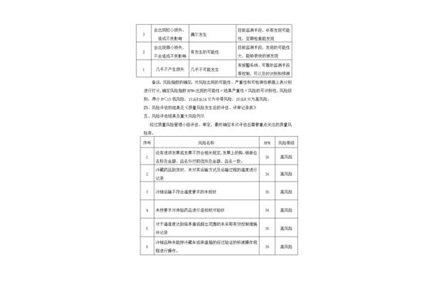 风险评估报告