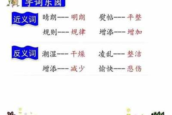规则的近义词