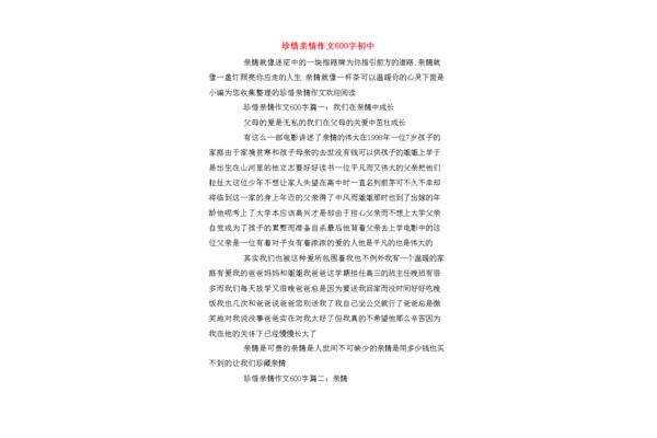 600字作文初中