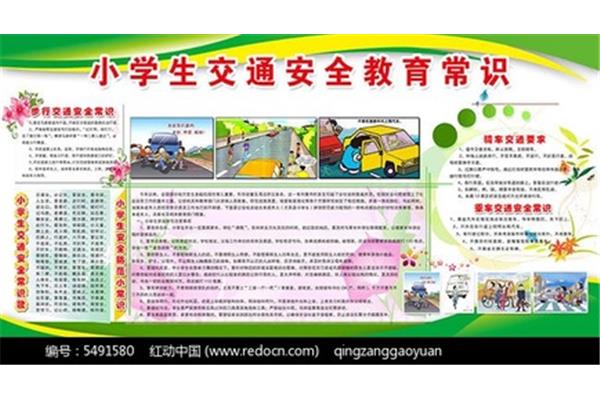 小学交通安全教育