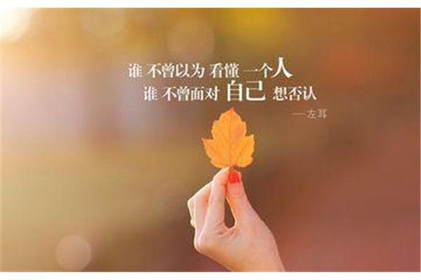 想家的句子