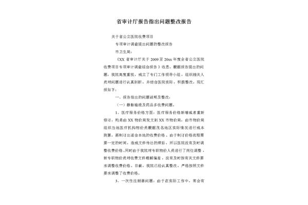 问题整改报告