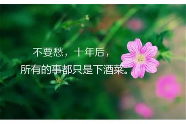 经典人生短句