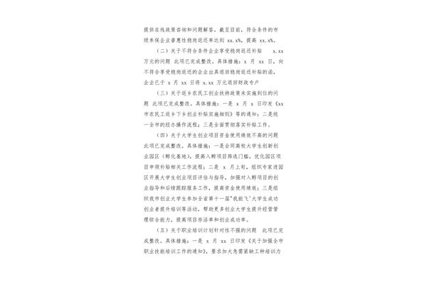 问题整改报告