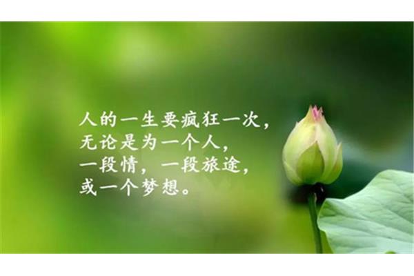 心情不好的说说