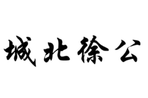 形容人帅的成语