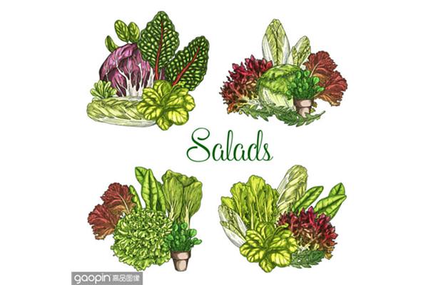 lettuces