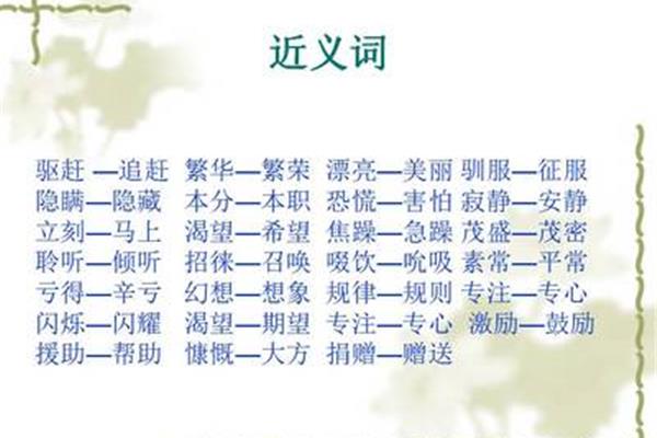 掩盖的近义词