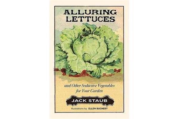 lettuces