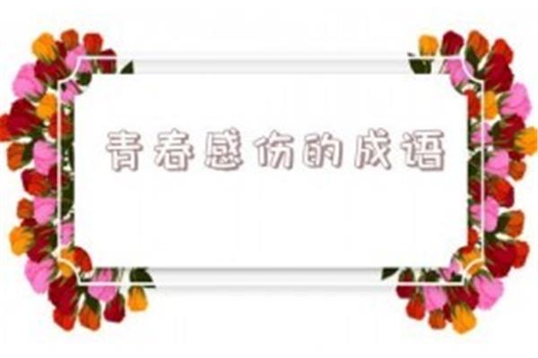 形容青春的成语