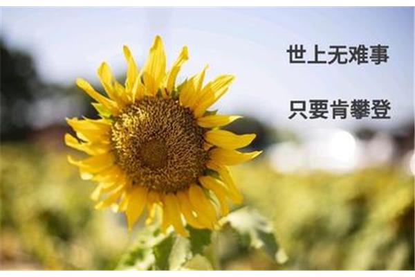 经典人生短句