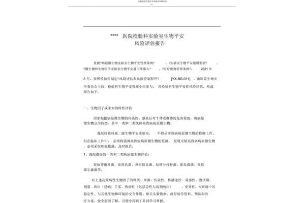 风险评估报告