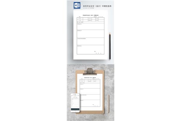 论文中期检查报告