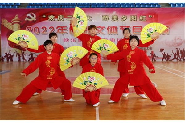中国功夫太极扇