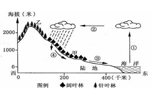 水循环的类型