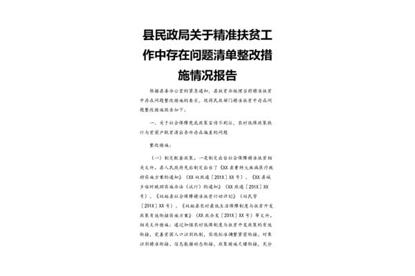 问题整改报告