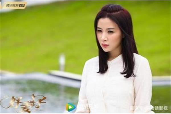 善良的妻子2
