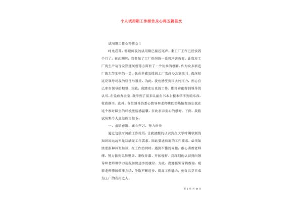 个人工作报告范文