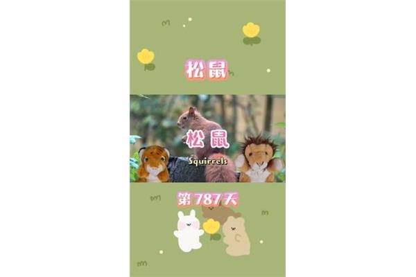 松鼠的英文怎么读