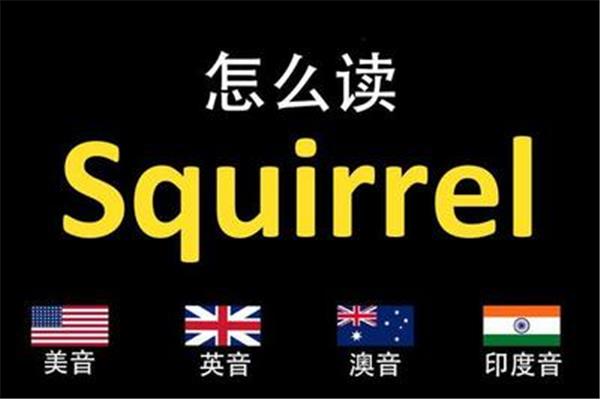 松鼠的英文怎么读
