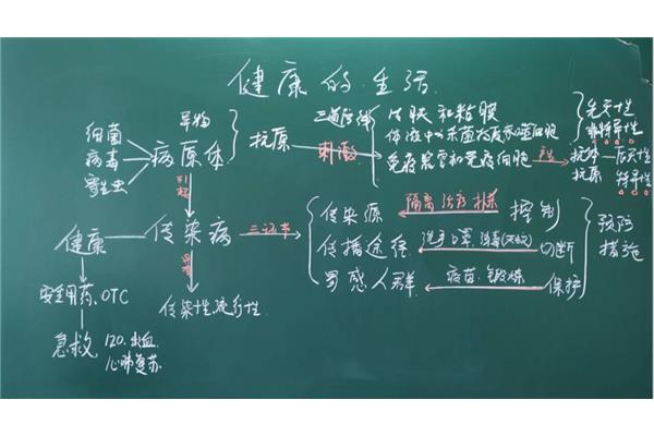 板书设计怎么写