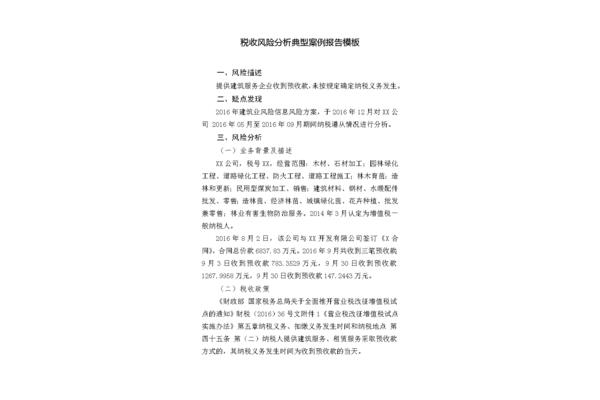 风险评估报告