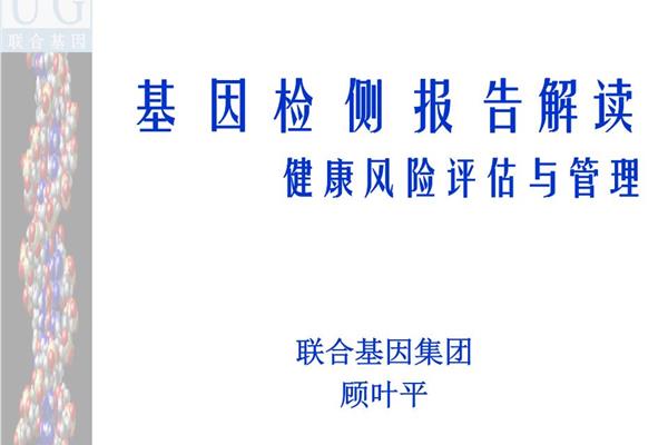 风险评估报告