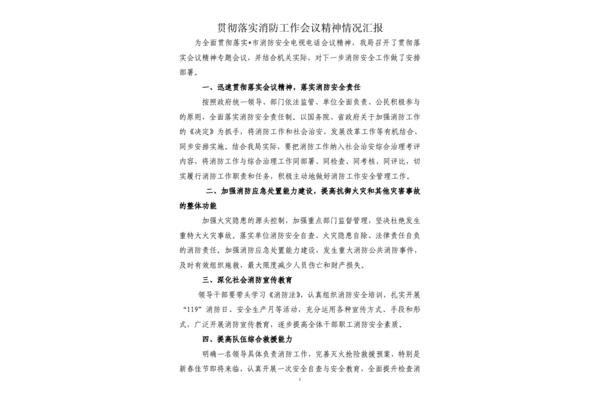 贯彻落实情况报告