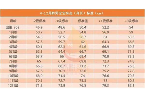 婴儿标准体重