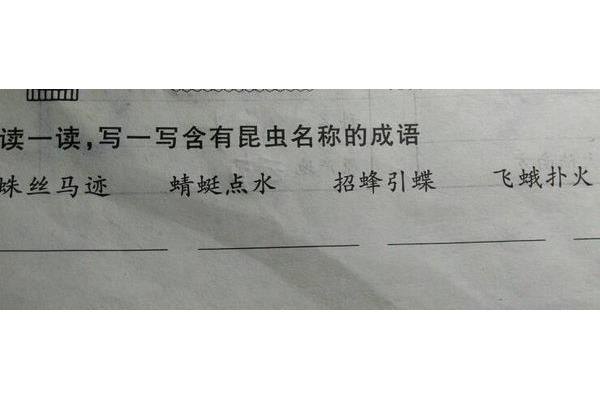 关于昆虫的成语